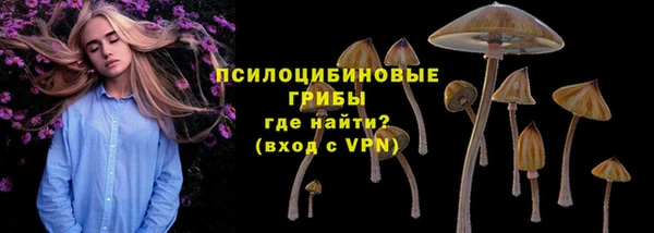 PSILOCYBIN Бородино